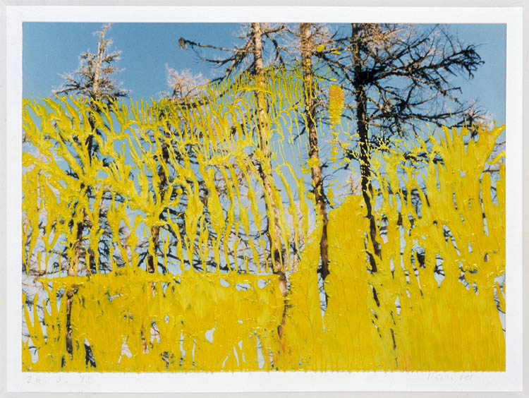 Gerhard Richter Abstrakt 26.5.92 1992. Deutsche Bank Collection. ©