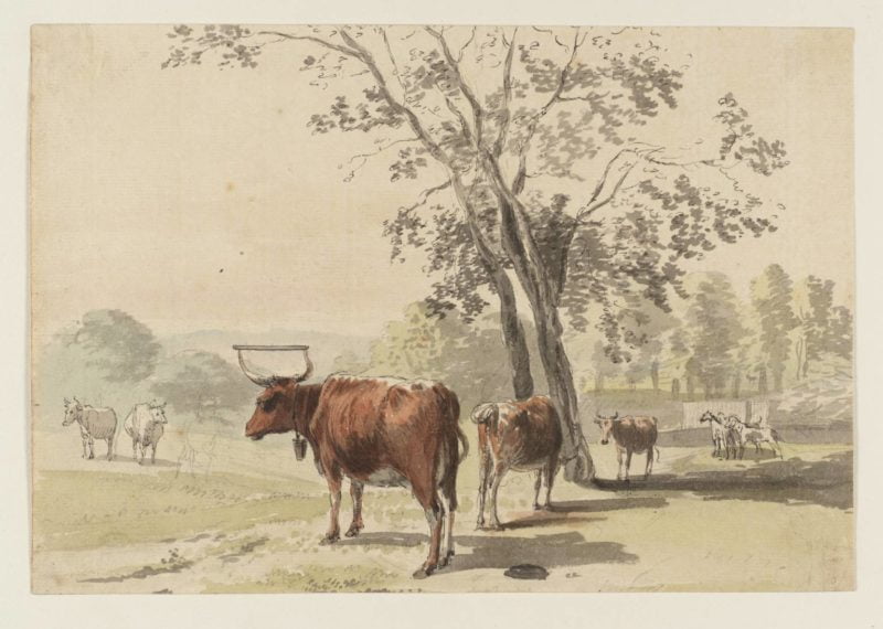 histtoria-técnica-acuarela-Paul-Sandby-vacas-en-un-parque