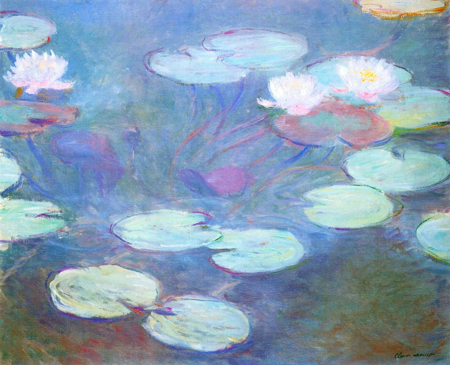 water lilies pink 1899