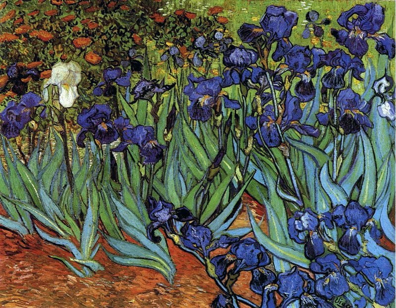 Van-Gogh-irises-composicion