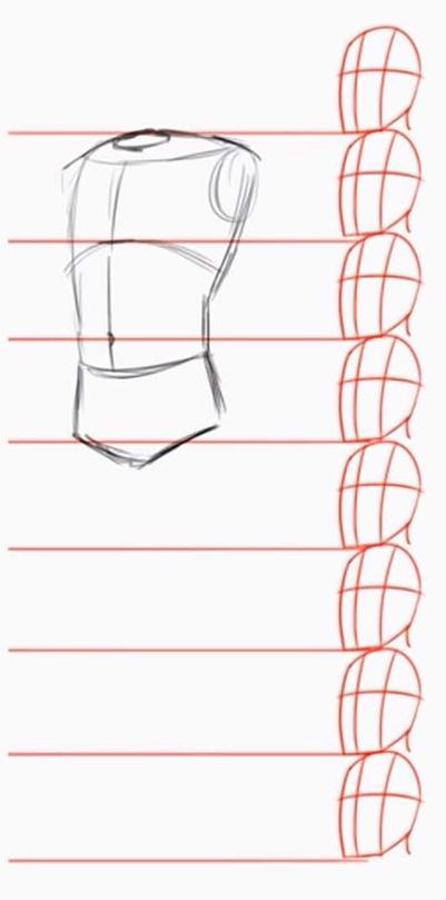 dibujar-figura-humana-torso