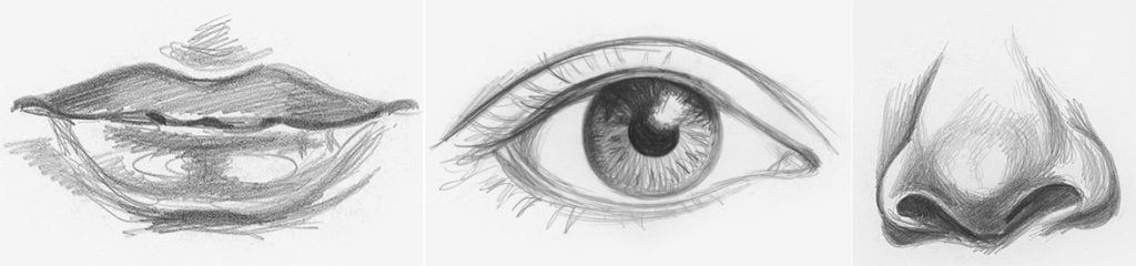 draw facial features lee hammond artists network drawing eyes demo 2 768x447 1 1024x240 1