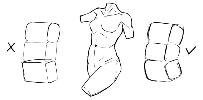 how to draw a female torso22