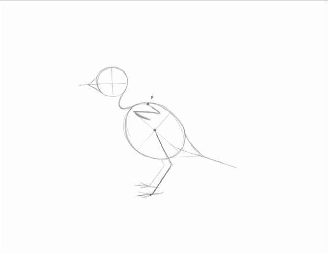 Dibujo de aves