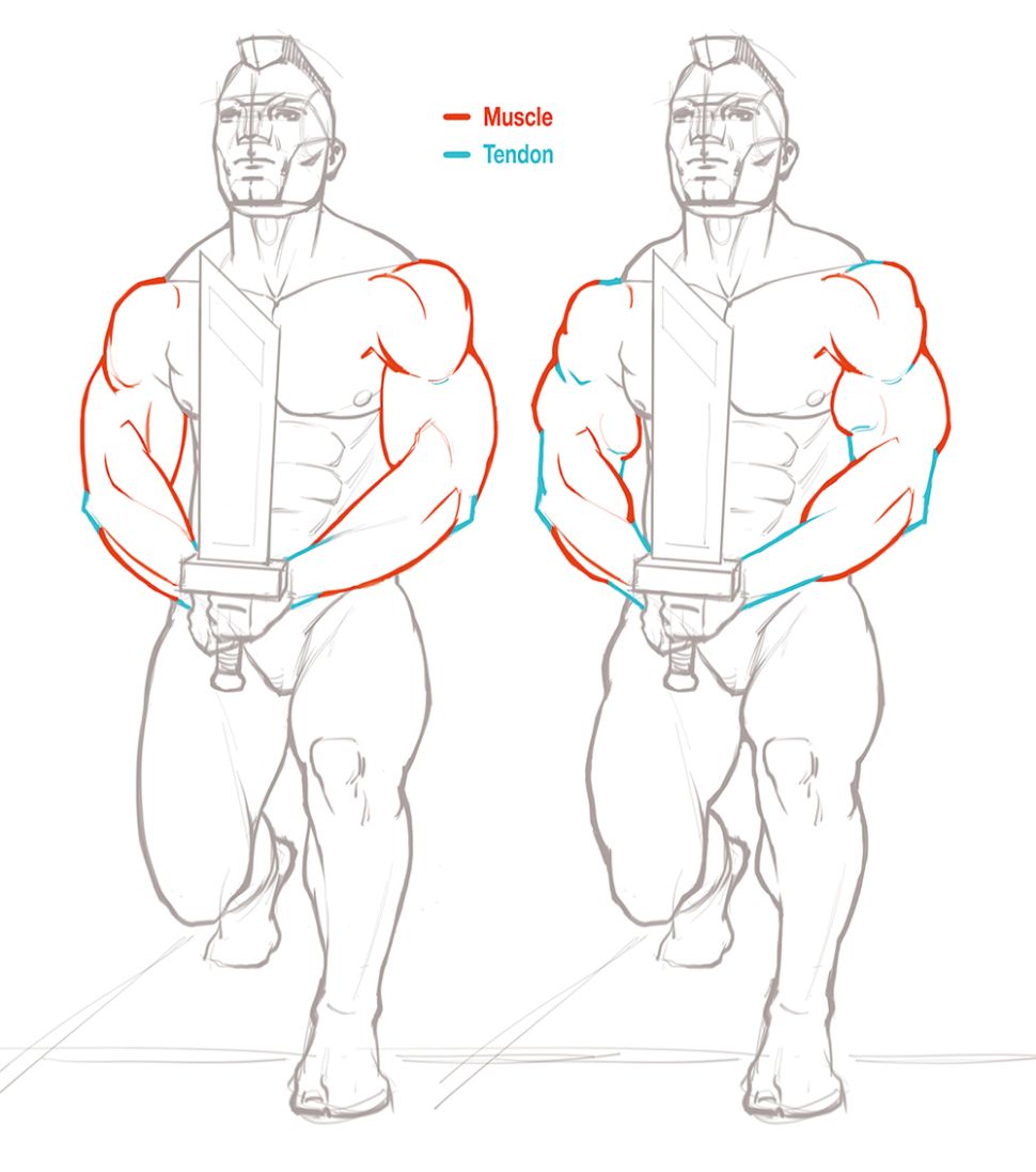 10 Consejos para dibujar músculos con precisión