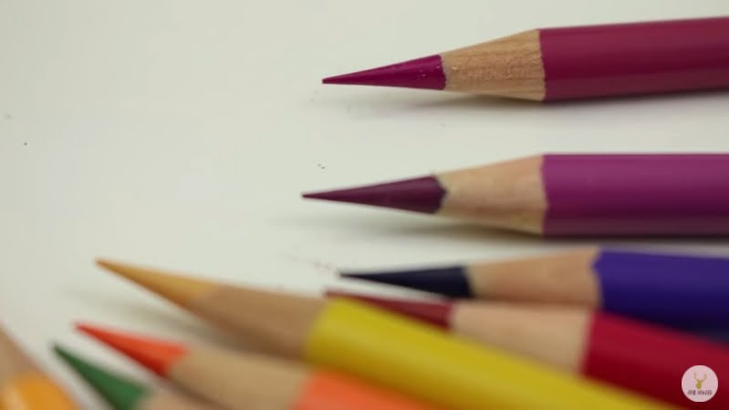 Dibujar animales con lápices de colores
