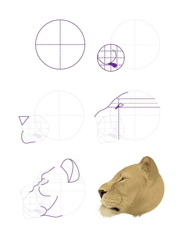 drawingbigcats 2 6 lion head profile
