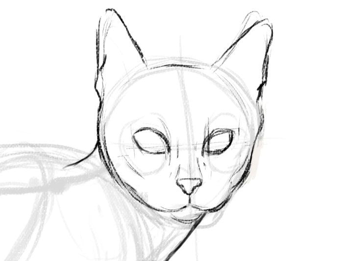 Aprender a dibujar gatos