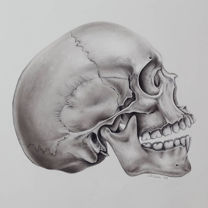 718px carbon dust skull