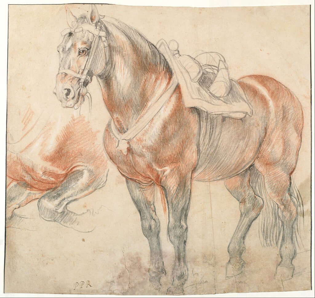 1082px peter paul rubens saddled horse c 1615 1618 google art project