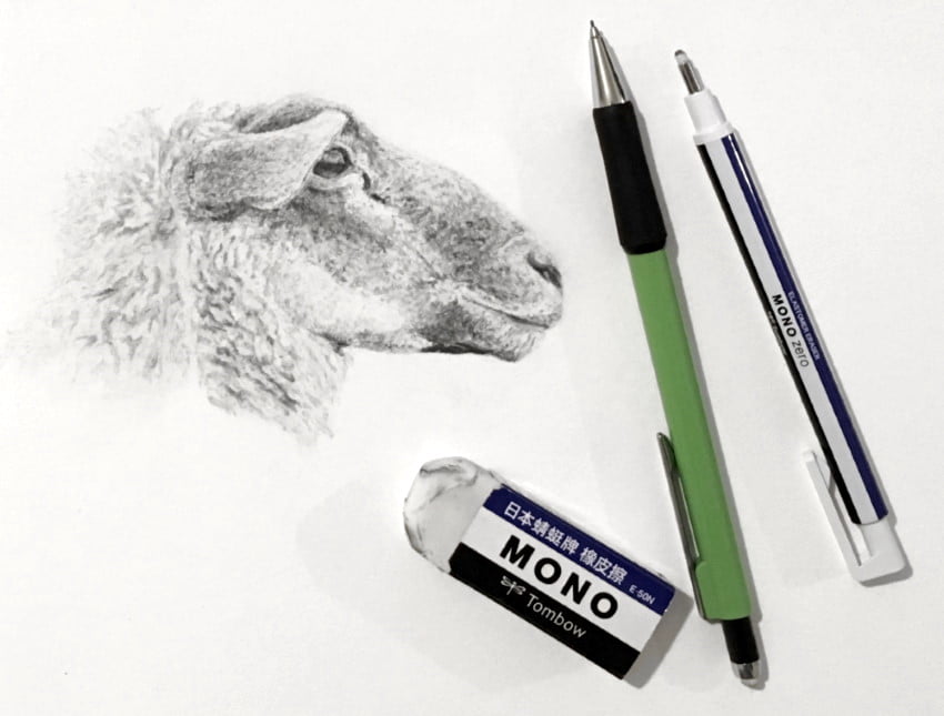 sheep mechanical pencil sketch